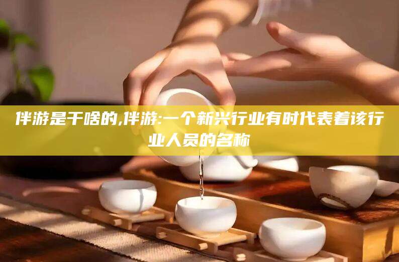 平阳伴游是干啥的,伴游:一个新兴行业有时代表着该行业人员的名称
