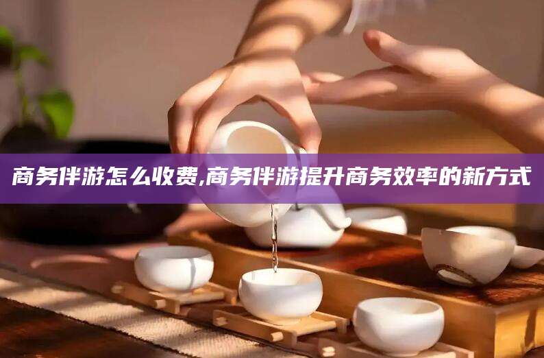 平阳商务伴游怎么收费,商务伴游提升商务效率的新方式